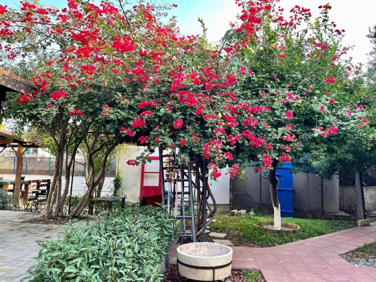 Betul Guest House Famagusta (Northern Cyprus) Exterior foto