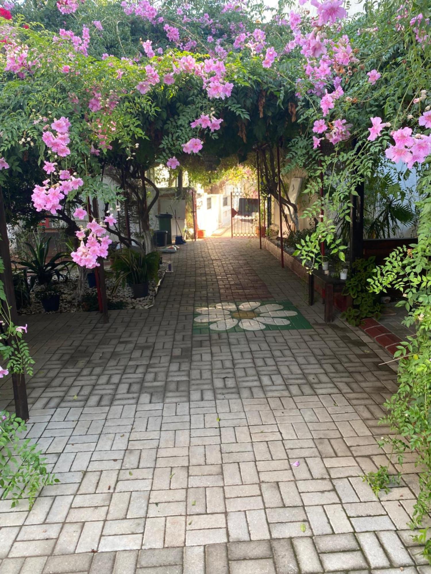 Betul Guest House Famagusta (Northern Cyprus) Exterior foto